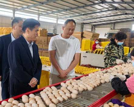 赣州融担集团党委书记、董事长谢重辉一行赴石城子公司及当地企业开展调研